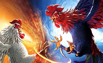 DS88 Cockfight